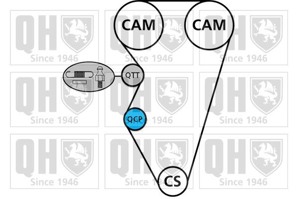 Comprar Kit de distribución Rover 75  RJ